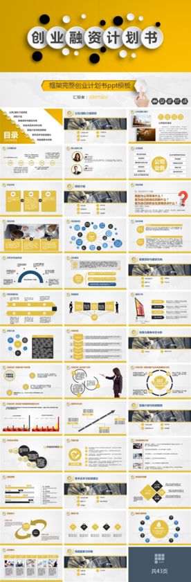 商业计划书 融资计划书