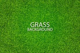 矢量草地草坪绿草球场背景