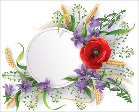 白紫色花图片大全 白紫色花设计素材 白紫色花模板下载 白紫色花图库 昵图网soso Nipic Com