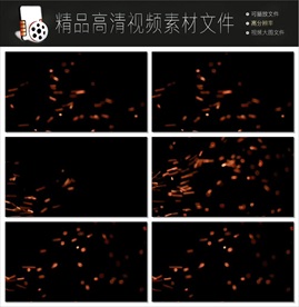 神秘星空银河视频素材mov