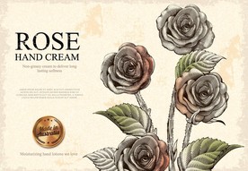 欧式古典版画风格玫瑰