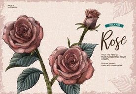 欧式古典版画风格玫瑰