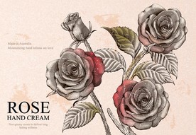 欧式古典版画风格玫瑰