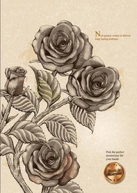 欧式古典版画风格玫瑰