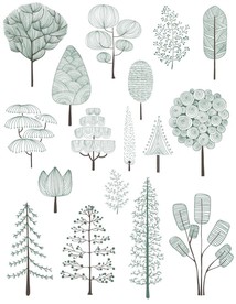 现代植物简笔画风