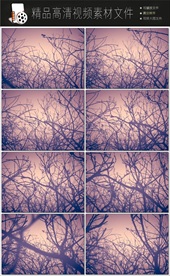 精美缤纷的炫光扫光素材模板