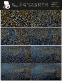 飞翔的海鸥唯美意境梦幻视频