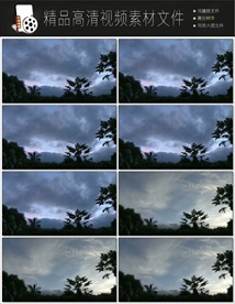 带通道的粒子花海视频素材