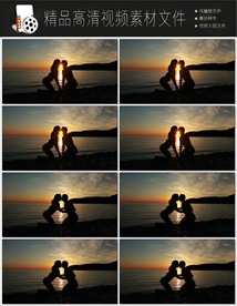 带通道的粒子花海视频素材