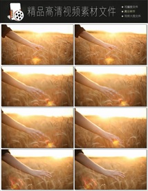 地产交易视频建筑视频房子视频