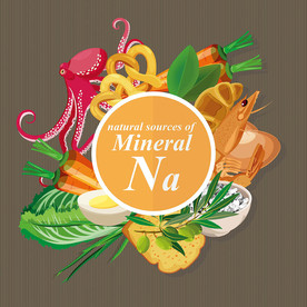 海鲜主题矢量插画素材