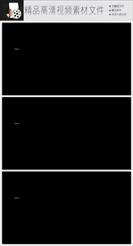 带通道的粒子花海视频素材