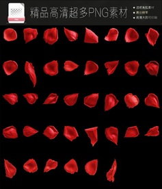 超多玫瑰花PNG免扣素材合集