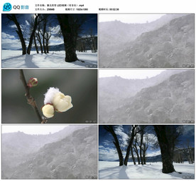 塞北的雪 舞台大屏背景视频成品