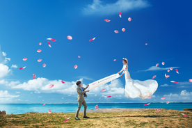 花瓣 飘纱 大海 沙滩 婚纱照