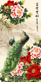 花开富贵孔雀图