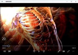 人体结构动态背景特效素材