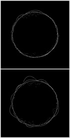 MOV登录浏览动态视频动画