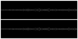 MOV登录浏览动态视频动画