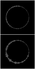 MOV登录浏览动态视频动画