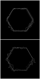 MOV登录浏览动态视频动画