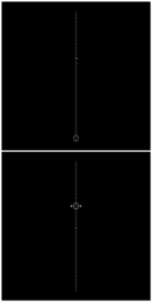 简单视频动态元素专场元素