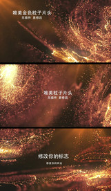 唯美金色粒子片头展示片头片尾