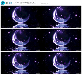 紫色梦幻月亮花瓣 舞台背景视频