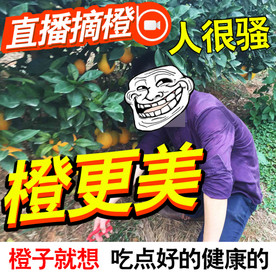 橙子农产品水果主图高点击率直播