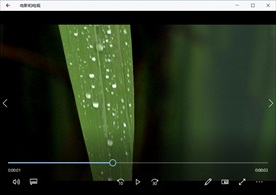 清晨阳光森林自然风景植物花卉生