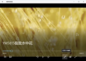 水中花森林自然风景植物花卉生长