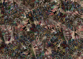 热带植物花鸟背景 热带雨林