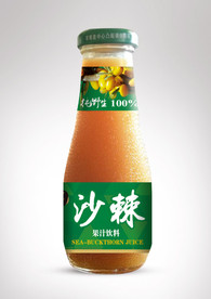 沙棘汁（标平面图）