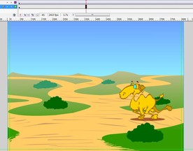 疯狂的骆驼走过5秒