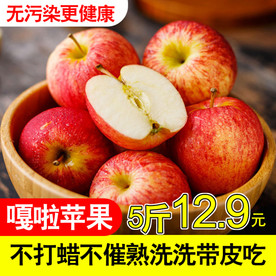 苹果创意直通车主图模版下载