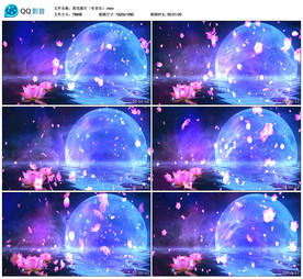 唯美荷花圆月 舞台背景视频素材