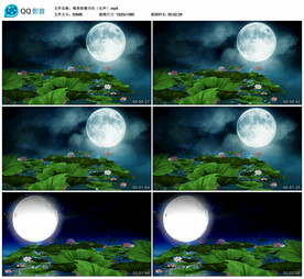 唯美荷塘月色 舞台背景视频素材