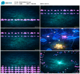 唯美夜色荷塘 舞台背景视频素材