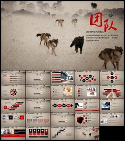 精细企业员工培训团队凝聚力团队