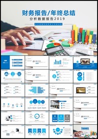 财务报表经营报告企业财务分析