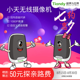 淘宝电子监控主图