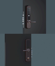 整套指纹锁max模型