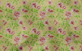 牡丹花鸟 花鸟墙纸 花鸟墙贴