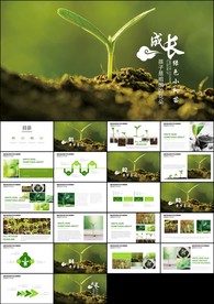 绿色清新小树苗生长发芽成长春天