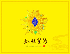 金丝皇菊分层图