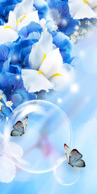 时尚蝶恋花玄关背景