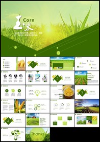 绿色农业产品农场水稻玉米小麦