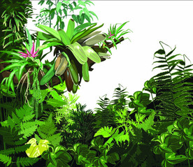 热带植物树林矢量插画