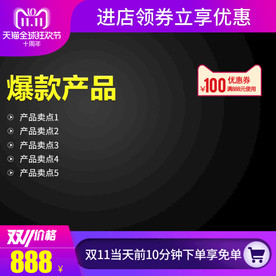 双11十周年狂欢节直通车
