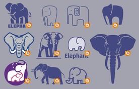 矢量大象系列设计